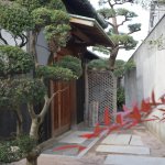 日本家屋を満喫! 「Sano San Chi 蔵」2020年2月ぞくぞくオープン