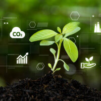 非化石証書2025年度第2回オークション、FIT証書の需給割合は53％